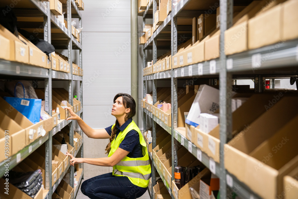 Woman Searching For Goods At Warehouse Storage Woman Searching For Goods At Warehouse Storage