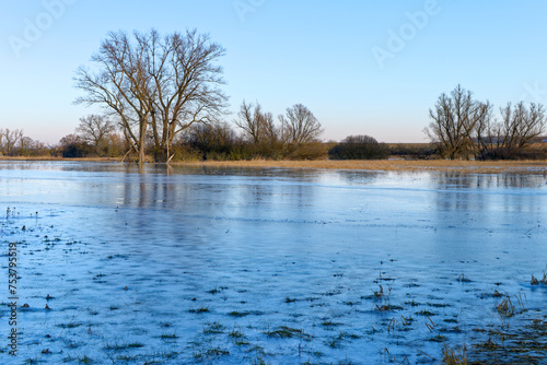 NSG Wernaue bei Ettleben im Winter, zwischen den Orten Ettleben und Schnackenwerth, Markt Werneck, Landkreis Schweinfurt, Unterfranken, Bayern, Deutschland