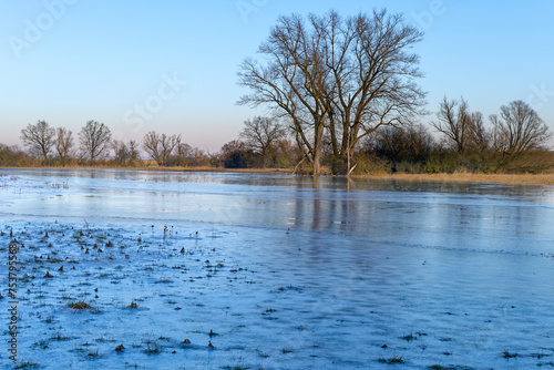 NSG Wernaue bei Ettleben im Winter, zwischen den Orten Ettleben und Schnackenwerth, Markt Werneck, Landkreis Schweinfurt, Unterfranken, Bayern, Deutschland photo