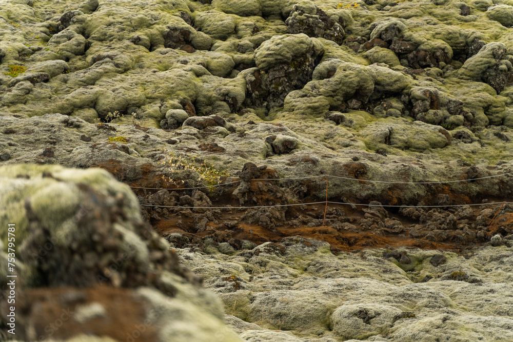Close-up of mossy lava fields in Eldhraun, Iceland. Natural background Close-up of mossy lava fields in Eldhraun, Iceland. Natural background