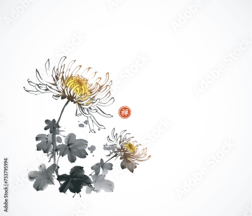 Ink wash painting with chrysanthemum on white background. Traditional oriental ink painting sumi-e, u-sin, go-hua. Translation of hieroglyph - zen