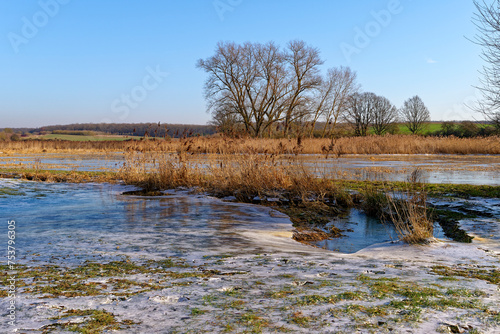 NSG Wernaue bei Ettleben im Winter, zwischen den Orten Ettleben und Schnackenwerth, Markt Werneck, Landkreis Schweinfurt, Unterfranken, Bayern, Deutschland photo