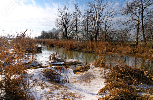 NSG Wernaue bei Ettleben im Winter, zwischen den Orten Ettleben und Schnackenwerth, Markt Werneck, Landkreis Schweinfurt, Unterfranken, Bayern, Deutschland photo