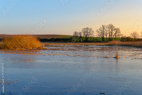 NSG Wernaue bei Ettleben im Winter, zwischen den Orten Ettleben und Schnackenwerth, Markt Werneck, Landkreis Schweinfurt, Unterfranken, Bayern, Deutschland photo