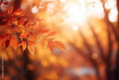 golden fall with a yellow background