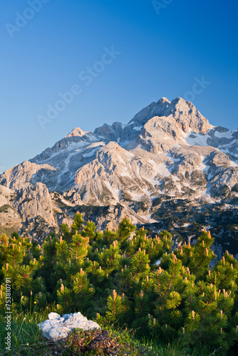 Slowenien, Triglav Nationalpark, Morgensonne, Latschen, Schnee, Schneefelder