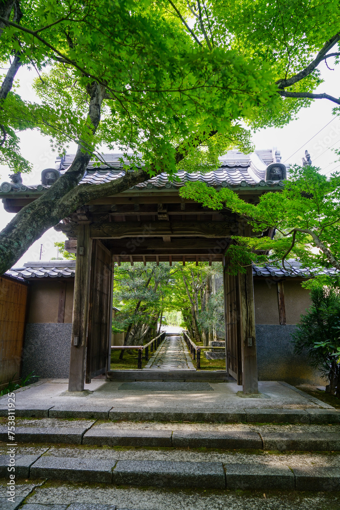 京都鷹峯光悦寺の参道の風景