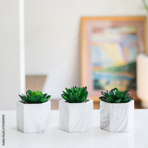 Set of cute succulent plants in marble pots styled in home