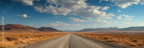 Desert Road to the Mountain Range