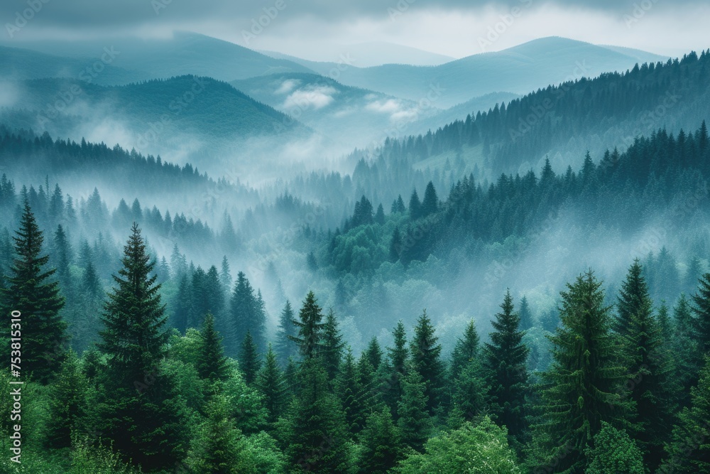 Mystical Foggy Forest at Dawn