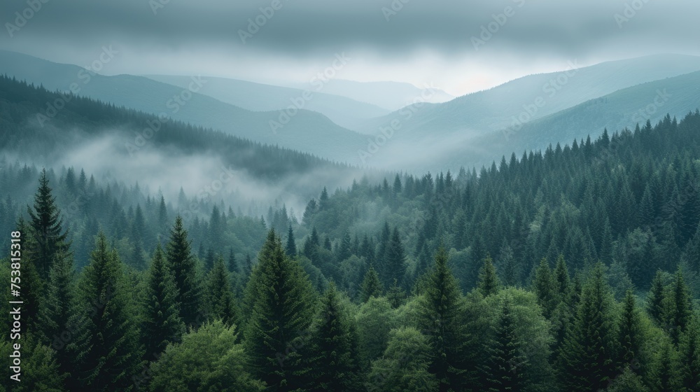 Mystical Foggy Forest at Dawn