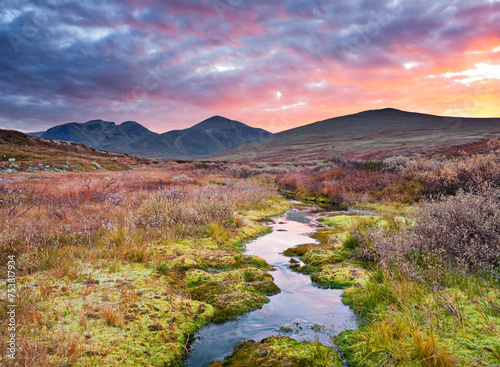 Norwegen, Rondane Nationalpark, Moos photo