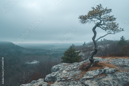 Surreal Landscape with Lone Tree on a Cliff