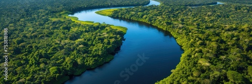 Aerial View of Meandering River Through Dense Rainforest