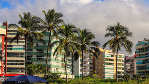 Árvores palmeiras em frente a prédios próximo a orla da rivieira de são lourenço, bertioga, sp, brasil © rafaelnlins