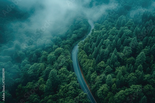 Misty Forest Road from Above © Landscape Planet