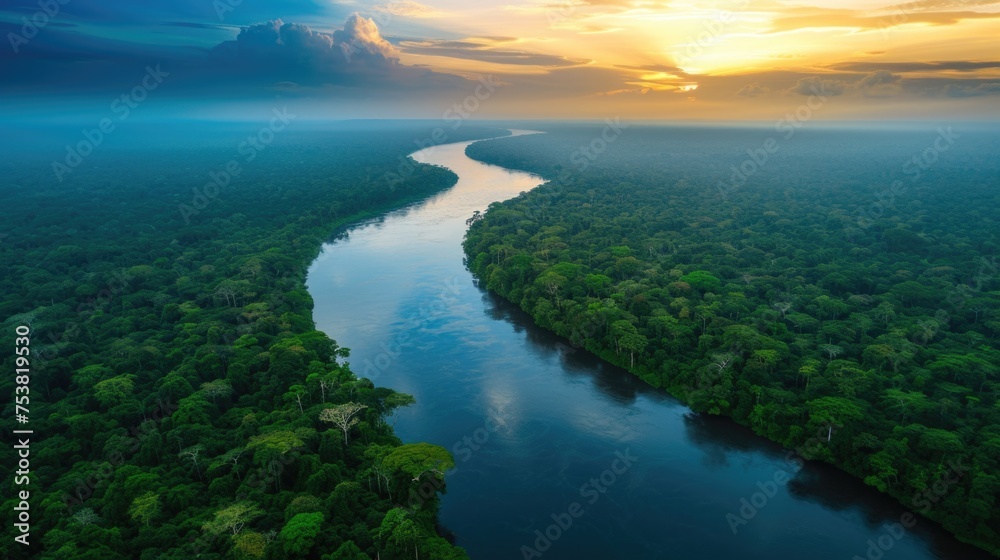 Twilight over a river in a dense rainforest Twilight over a river in a dense rainforest
