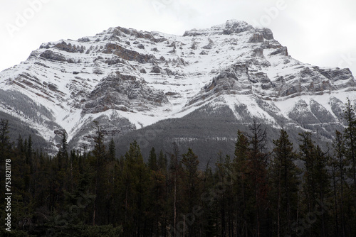 Surrounding views from the icefield parkway between Jasper and Lake Louise - Banff National Park - Alberta - Canada
