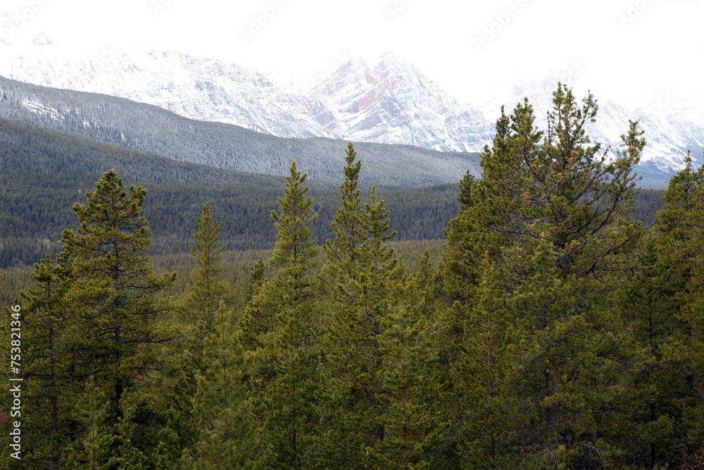 Surrounding views from the icefield parkway between Jasper and Lake Louise - Banff National Park - Alberta - Canada