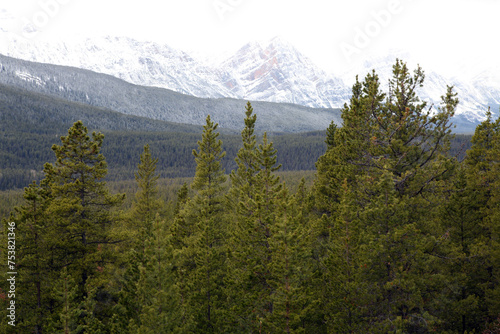 Obraz na płótnie Surrounding views from the icefield parkway between Jasper and Lake Louise - Banff National Park - Alberta - Canada w salonie