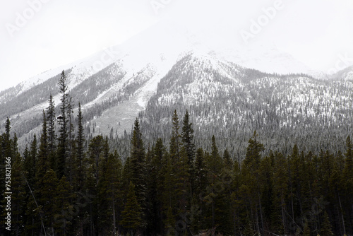 Surrounding views from the icefield parkway between Jasper and Lake Louise - Banff National Park - Alberta - Canada