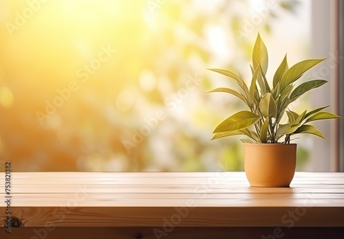 Wood table top with green plant in pot on blurred green nature background