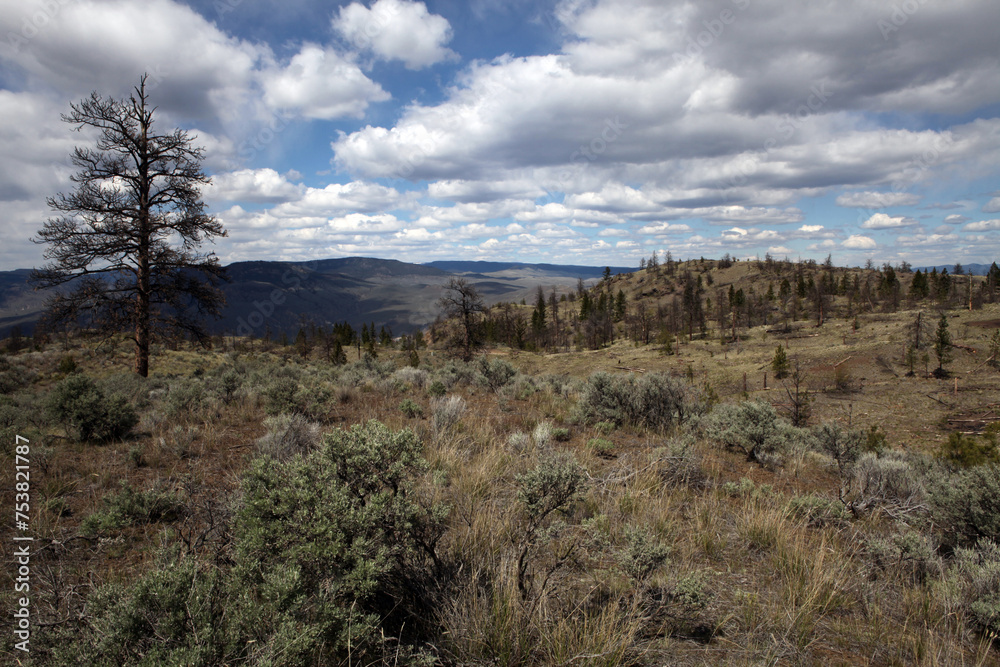 Kenna Cartwright Park - Kamloops - British Columbia - Canada