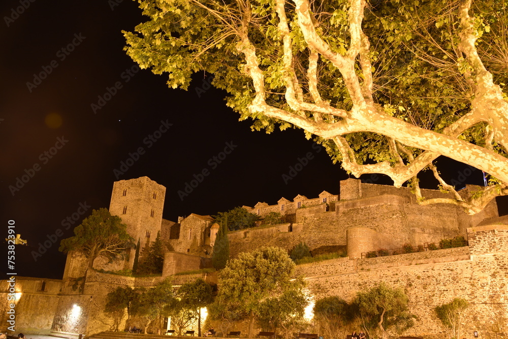 castle at night