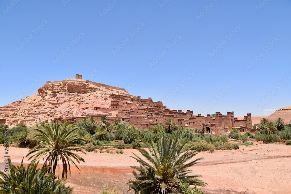 oasis in the desert