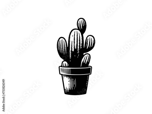 Succulent Serenity: Tranquil Cactus Vector Illustration Inspiring Nature-inspired Design