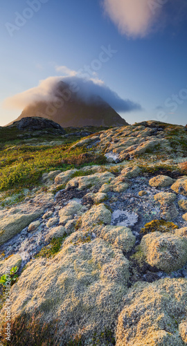 Norwegen, Nordland, Lofoten, Gimsoya, Hoven, Moos photo