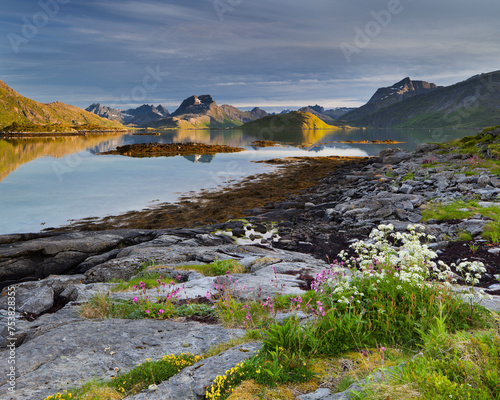 Norwegen, Nordland, Lofoten, Moskenesoya, Rossoystraumenen