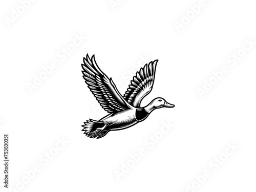 Aqua Elegance: Detailed Duck Vector Illustration, Perfect for Wildlife Lovers and Nature-inspired Art