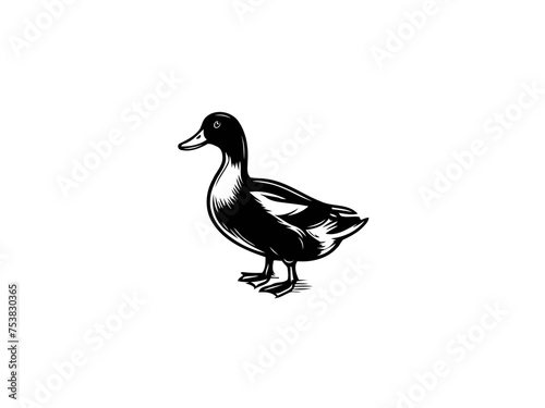 Nature's Symphony: Exquisite Duck Vector Illustration, Harmonizing Serenity into Your Designs
