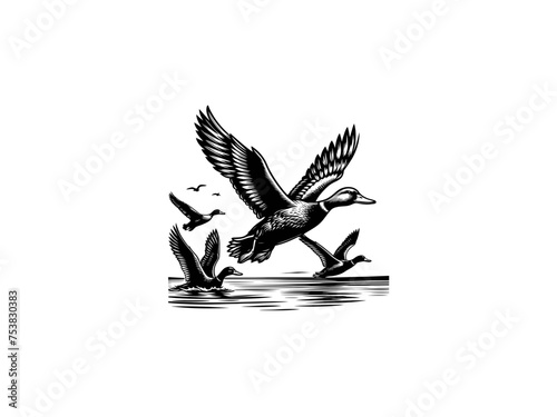 Aqua Elegance: Detailed Duck Vector Illustration, Perfect for Wildlife Lovers and Nature-inspired Art