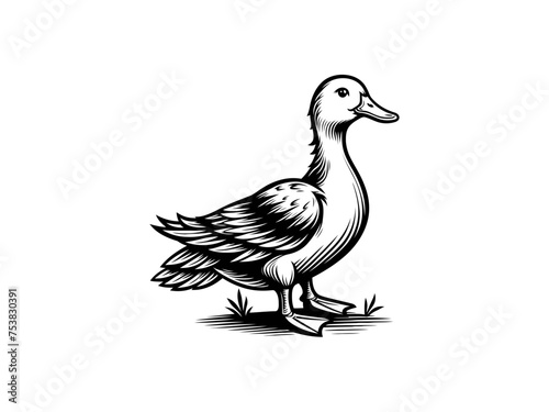 Nature's Symphony: Exquisite Duck Vector Illustration, Harmonizing Serenity into Your Designs