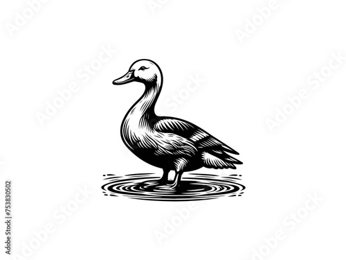 Tranquil Waters: Majestic Duck Vector Illustration, Perfect for Nature-inspired Designs and Wildlife Enthusiasts Seeking Serenity in Artistic Creations