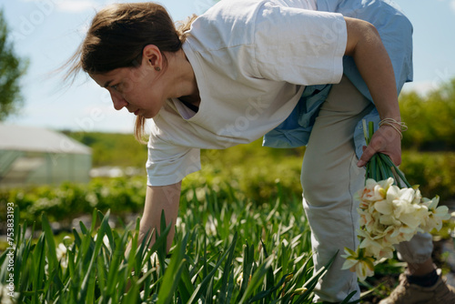 A woman cuts flowers on a farm photo