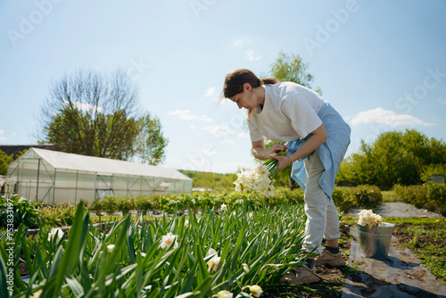 A woman cuts flowers on a farm