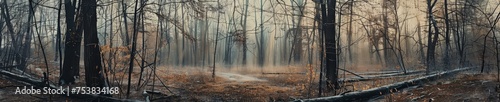 A painting depicting a dense forest filled with numerous tall trees under a clear sky. © pham