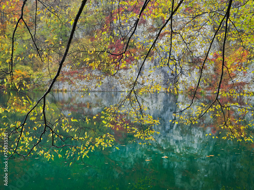 Kroatien  Nationalpark Plitvice Seen  See  Zweige  Bl  tter