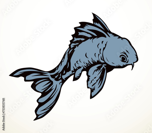 Vector drawing. Fish in the water