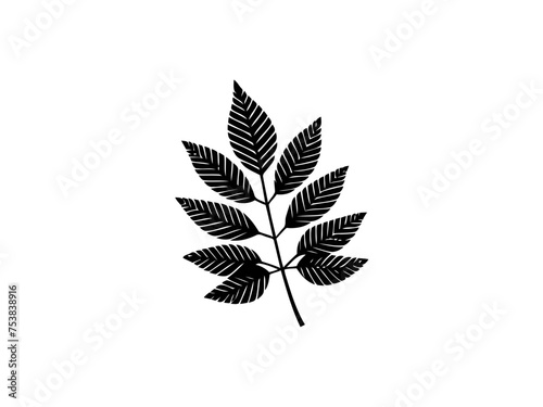 Falling Memories: Delicate Fall Leaves Vector Illustration, Conjuring Nostalgia for Autumn Days