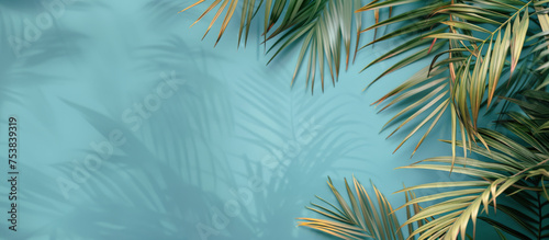 Group of Palm Leaves Against Blue Background © yganko