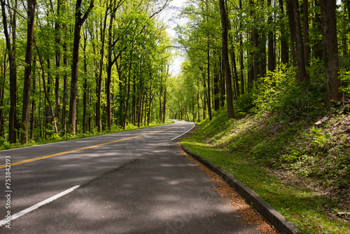 Εκτύπωση καμβά Newfound Gap Road near Carlos Campbell overlook in the Great Smoky Mountains NP