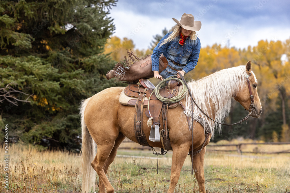 Colorado Cowgirl mounting a palomino horse
 in the mountains with colorful aspens in the background - obrazy, fototapety, plakaty 