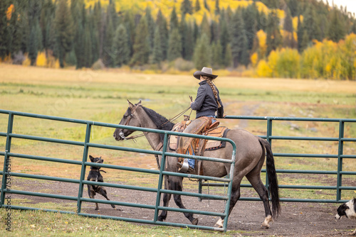 Cowgirl on Quarter Horse photo