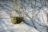 Flowerpot basket made of willow vine against the background of a wall with dry vines. Natural texture and background