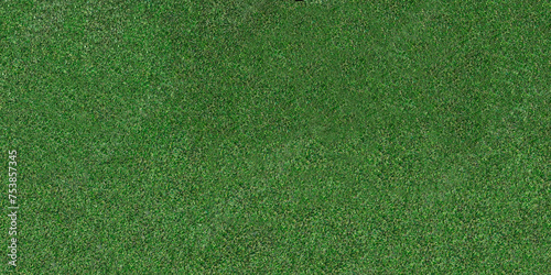 Close-up photo of short green grass on a sports field. Copy space. photo