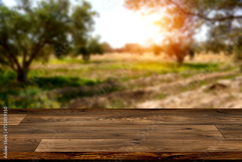 empty rustic wooden table for mockup product display near mediterranean olive field ready for harvest